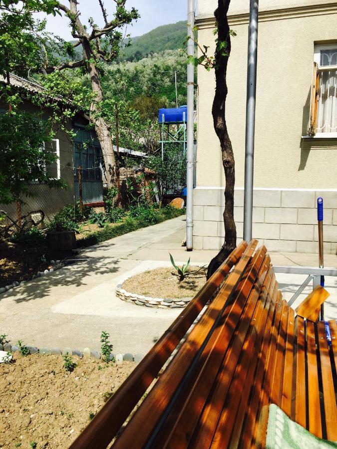 Guest House Vladimir Gagra Luaran gambar